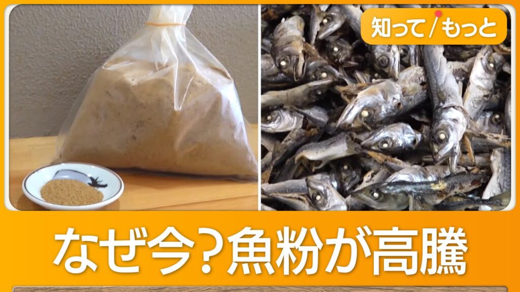 【飲食】「魚粉」の価格が高騰　魚介系ラーメン店などが苦境に